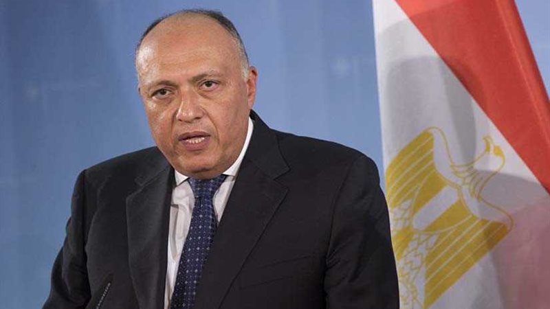 وزير الخارجية يلتقي