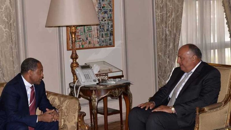 وزير الخارجية يستقبل