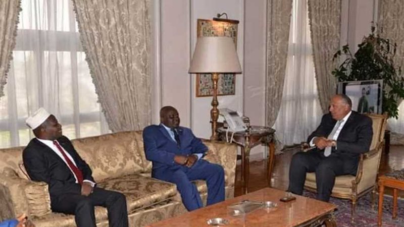 وزير الخارجية يؤكد