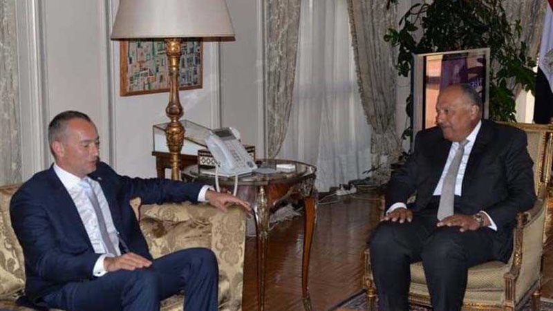 شكري يستقبل المبعوث