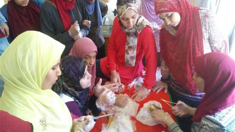 قصر ثقافة المنيا