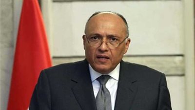 سامح شكري يلتقي الكوادر الدبلوماسية بوزارة الخارجية