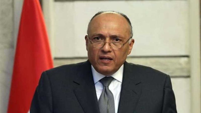 سامح شكري يلتقي الكوادر