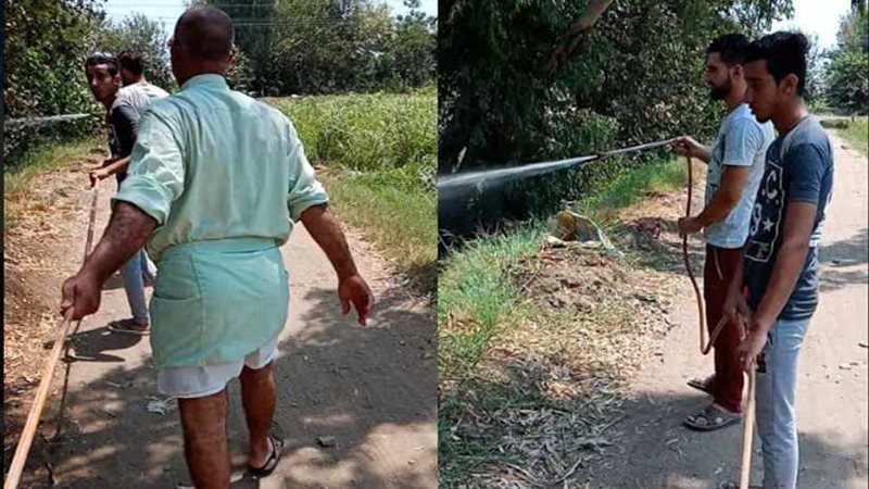 استجابة لـبوابة روزاليوسف..