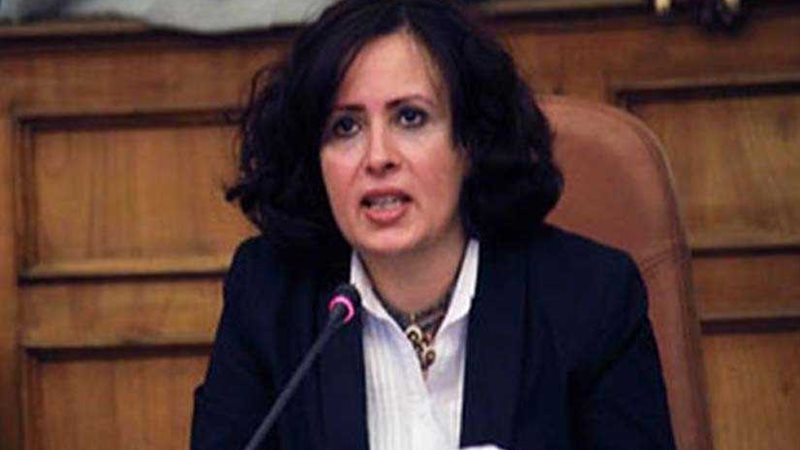 الطفولة والأمومة