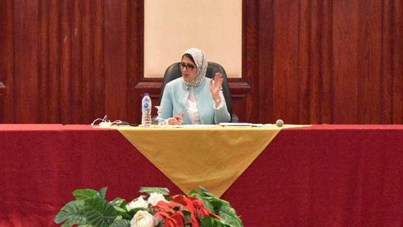وزيرة الصحة: 4 لجان