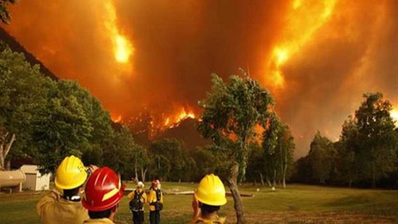 كاليفورنيا تستعين