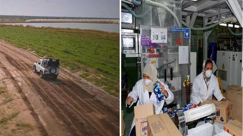 تنويع الاستثمارات