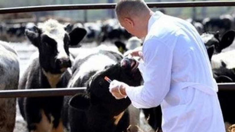 بيطري الغربية: لا