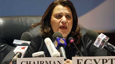 ننشر شهادة السفيرة وفاء نسيم بـ