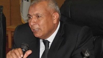 محافظ الوادي الجديد : إنشاء حديقة تعليمية بمكتبة مصر العامة