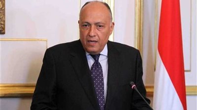 بدء جلسة المشاروات السياسية بين وزير الخارجية ونظيره الإيطالي