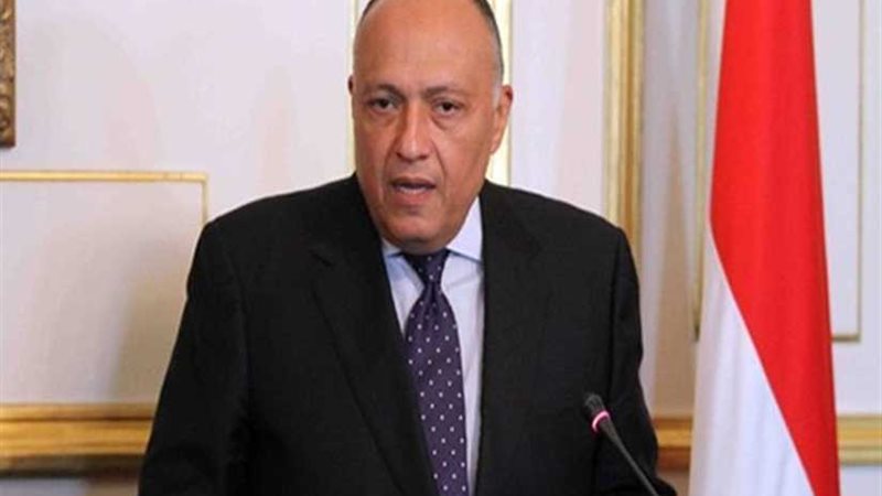 شكري: مصر وإيطاليا