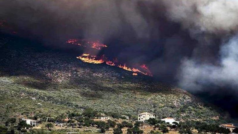 استقالة رئيس وكالة