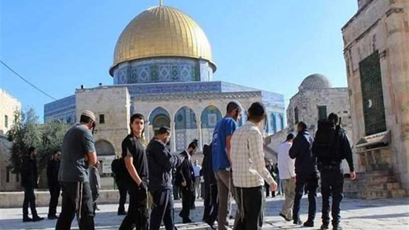 عشرات المستوطنين