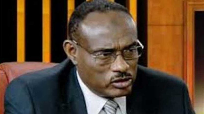 وزير الخارجية السوداني