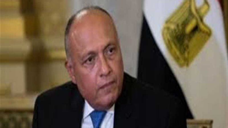 شكري يلتقي مستشار