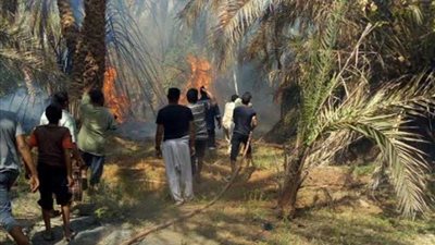 الحماية المدنية تسيطر على حريق بإحدى المزارع بالواحات البحرية