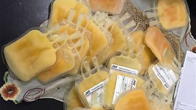 العلاج الحر بالشرقية يضبط 31 قربة بلازما مجهولة المصدر