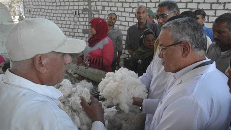 محافظ المنيا يتفقد