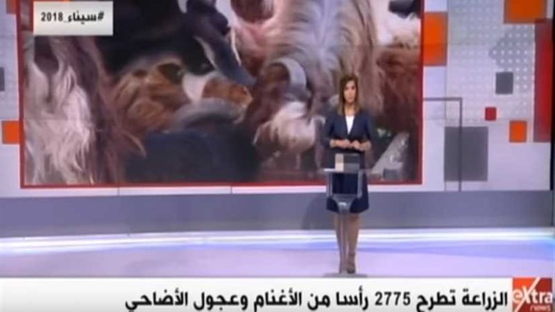 الزراعة: استعددنا