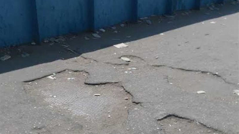 السلم الأزرق.. باحثًا