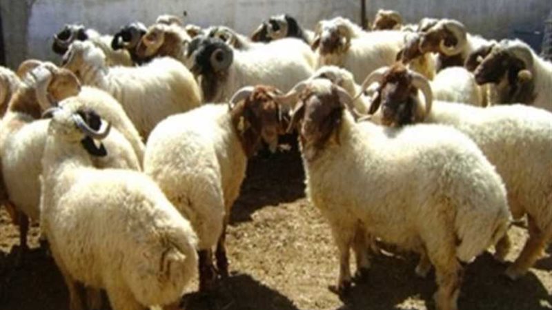 الزراعة توافق على