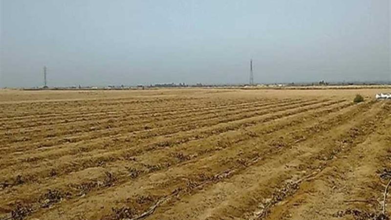 الإصلاح الزراعي: