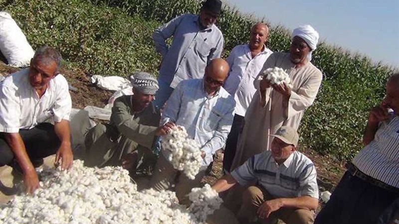 وكيل زراعة أسيوط