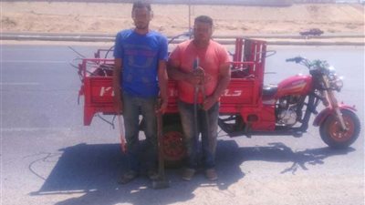 عصابة «أعمدة الإنارة» سقطت بكمين السويس