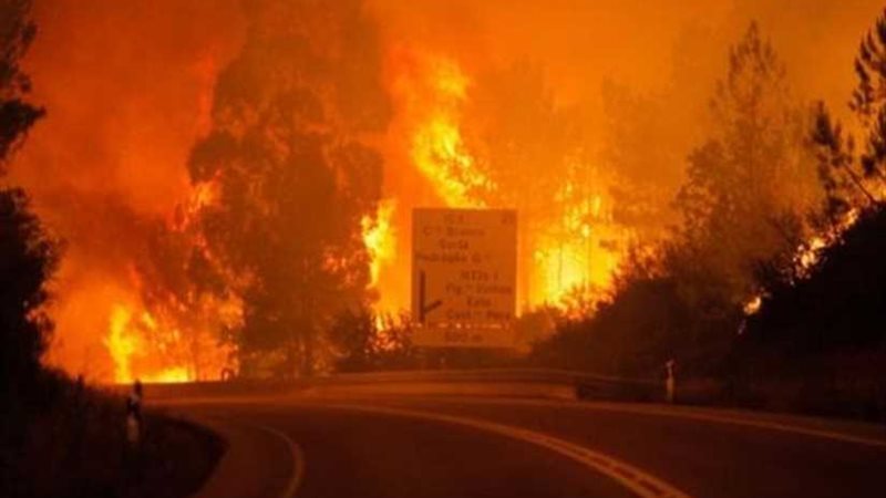 الجحيم الأمريكي يستعر