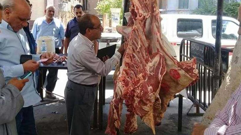 حملات مكثفة لبيطري