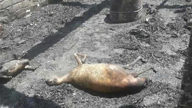 حريق يلتهم منزلًا