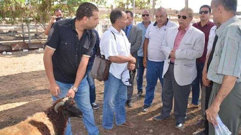 محافظ الإسماعيلية