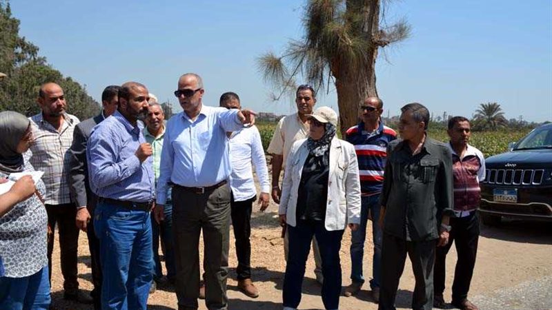 محافظ القليوبية يتفقد