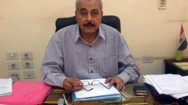 طرح عجول سودانية