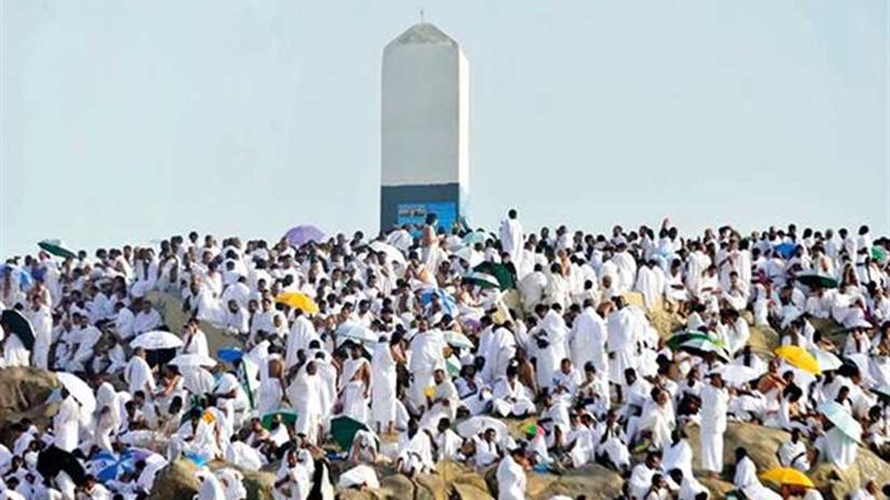 حلقات خاصة في البرامج