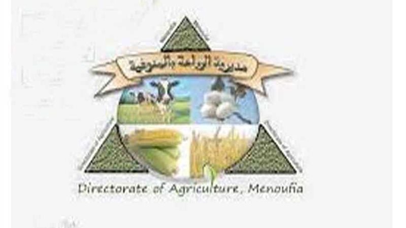 المنوفية تعيد 736