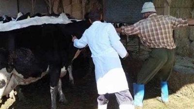 مجازر كفرالشيخ 