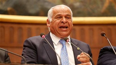 عامر: السيسي يبني الصعيد بأياد مصرية