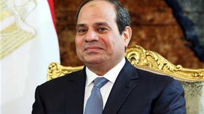 الرئيس السيسي يوجه بتقديم مساعدات عاجلة للسودان لمواجهة آثار السيول