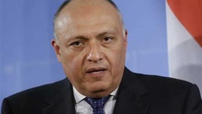 وزير الخارجية يستقبل أمين عام منظمة التعاون الإسلامي