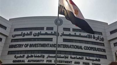 شركة الشخص الواحد.. خطوة جديدة نحو التحول للاقتصاد الرسمي