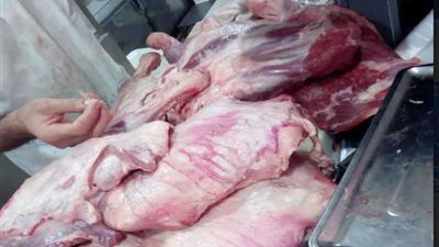 مباحث القاهرة تداهم الثلاجات وتضبط 8 أطنان لحوم مجهولة المصدر