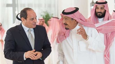 السفير بسام راضي يكشف سبب زيارة الرئيس السيسي للسعودية