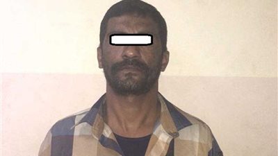 ضبط مقاول هارب من سداد 5 ملايين جنيه في الشرابية