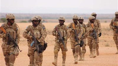 إثيوبيا تنشر قوات إضافية للدفاع عن حقول النفط المكتشفة حديثا