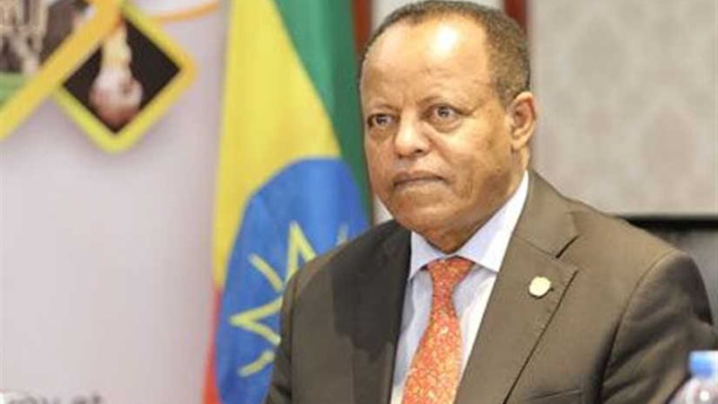 سفير إثيوبيا: الرئيس