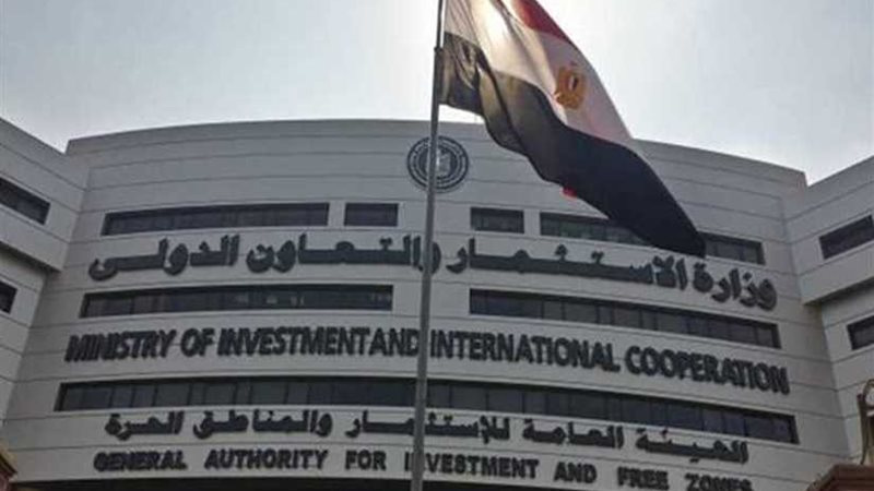 شركة الشخص الواحد..