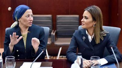 وزيرتا الاستثمار والبيئة تبحثان مع 